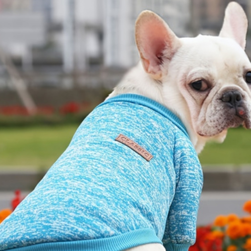 Dog or Cat Cozy soft sweat shirt with fleece lining! Size M & L